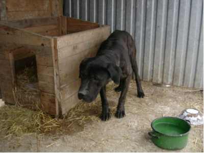 Borys